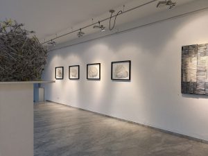 Ausstellung AREAS and STRUCTURES in der BV Galerie Klagenfurt 2019