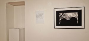 Rundgang Ausstellung Nascosto: Fotos Hermann F. Fischl, Texte Renate Kienzl