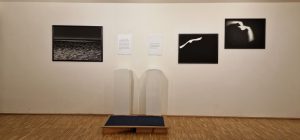 Rundgang Ausstellung Nascosto: Fotos Hermann F. Fischl, Texte Renate Kienzl