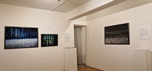 Rundgang Ausstellung Nascosto: Fotos Hermann F. Fischl, Texte Renate Kienzl