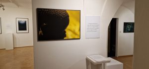 Rundgang Ausstellung Nascosto: Fotos Hermann F. Fischl, Texte Renate Kienzl