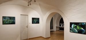 Rundgang Ausstellung Nascosto: Fotos Hermann F. Fischl, Texte Renate Kienzl