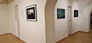 Rundgang Ausstellung Nascosto: Fotos Hermann F. Fischl, Texte Renate Kienzl